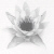 :iconarika94:
