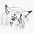 :iconarikiba-nihakumeko: