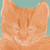:iconarimich: