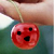 :iconarines: