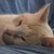 :iconarionquill:
