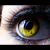 :iconaripmav: