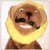 :iconarisa-malice: