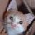 :iconAristaNiara: