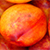 :iconAristotleinabottle: