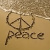 :iconarizona-is-love: