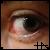 :iconArkinhas: