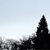 :iconarknot: