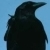 :iconarkros: