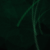 :iconarkya:
