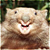 :iconarlamen: