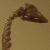 :iconarlaune84: