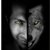 :iconarmando-santos: