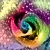 :iconarmaris: