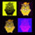 :iconarmdwifgreatnes: