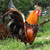 :iconarmedrooster:
