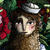 :iconArminCavolo: