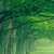:iconarmless-wanderer: