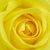 :iconarmy8: