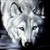 :iconarmyvetwolf: