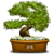 :iconarnoldroelz: