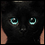 :iconarnuoa: