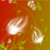 :iconarnurna: