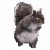 :iconaro124: