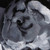 :iconarokhlion: