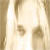 :iconaround-you: