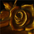 :iconaroussa: