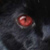 :iconarphendess-ithildess: