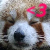 :iconArqueRise: