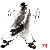 :iconarreon:
