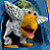 :iconarrivofischiolante: