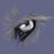:iconarriwolf: