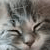 :iconarrmiss: