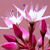 :iconarrowme: