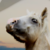 :iconarrowxxx: