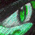 :iconArsenal-EXE:
