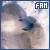 :iconarsh: