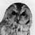 :iconart-and-photography: