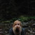 :iconart-angel-303: