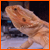 :iconart-assimilations: