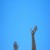 :iconart-clak: