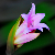 :iconart-forums: