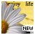 :iconart-kiwi: