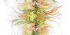 :iconart-multisectoral: