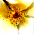 :iconart-ninja: