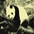 :iconart-of-dream: